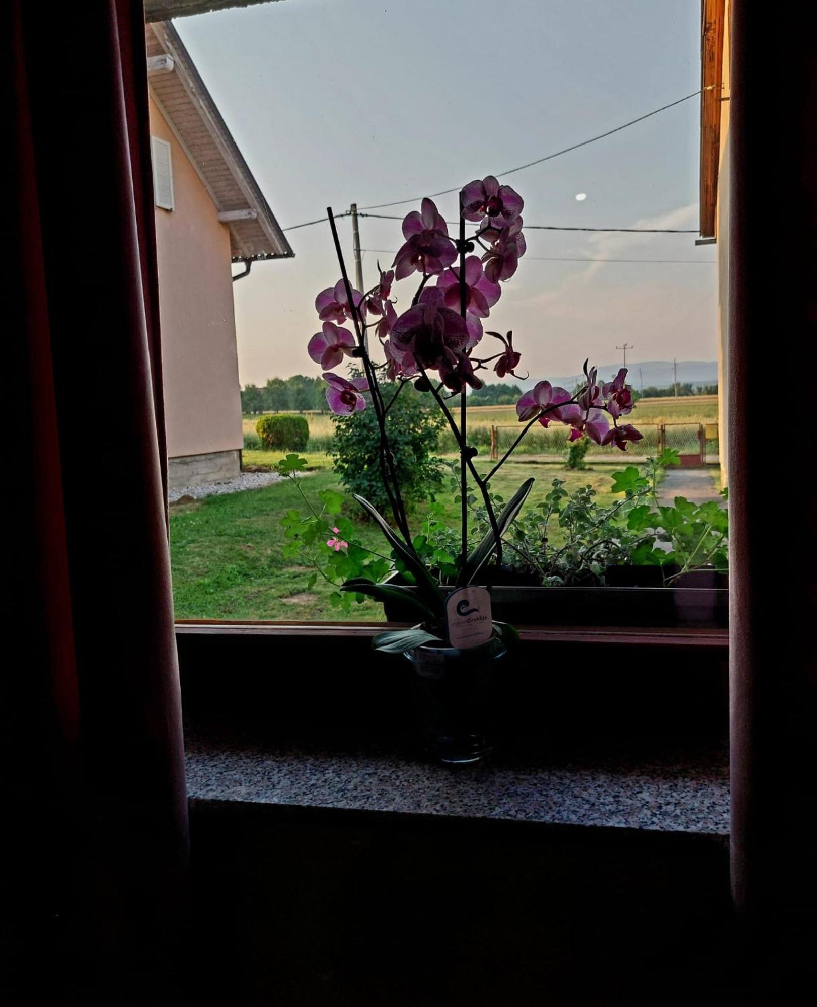 Apartman Rita Perusic Экстерьер фото